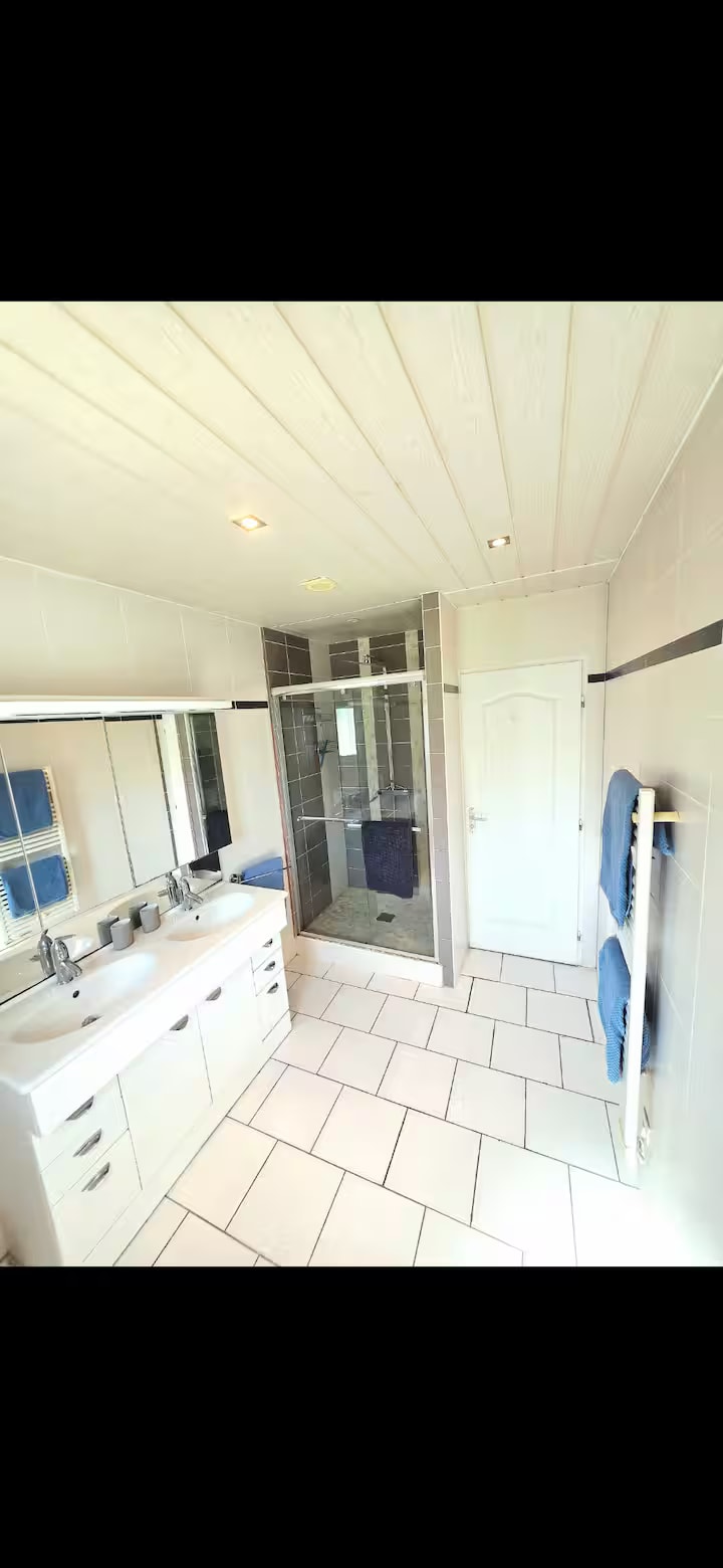 Second bathroom with double vanity and walk-in shower