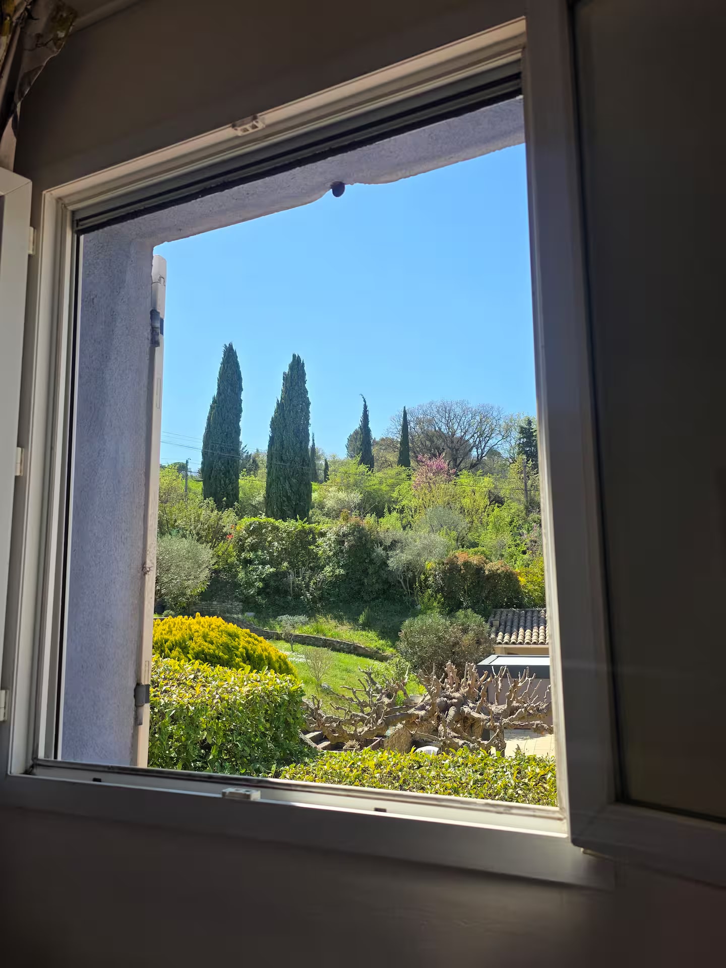 View from bedroom window — cypress trees and Luberon hillside